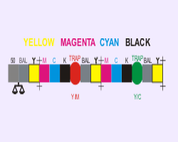 Color Bar